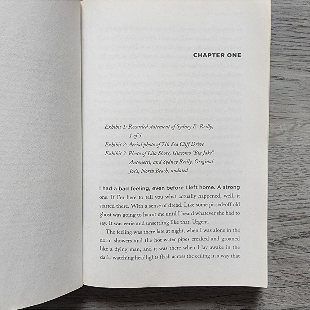 Girl, Unframed by Deb Caletti Young Adult Fiction Mystery Novel Paperback Book - Picture 10 of 11